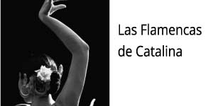 logo partenaire las flamencas de catalina